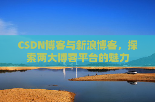 CSDN博客与新浪博客，探索两大博客平台的魅力